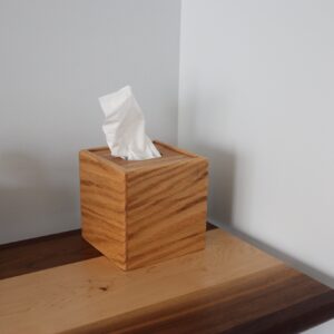 tissue box cover with tissues coming out of the top